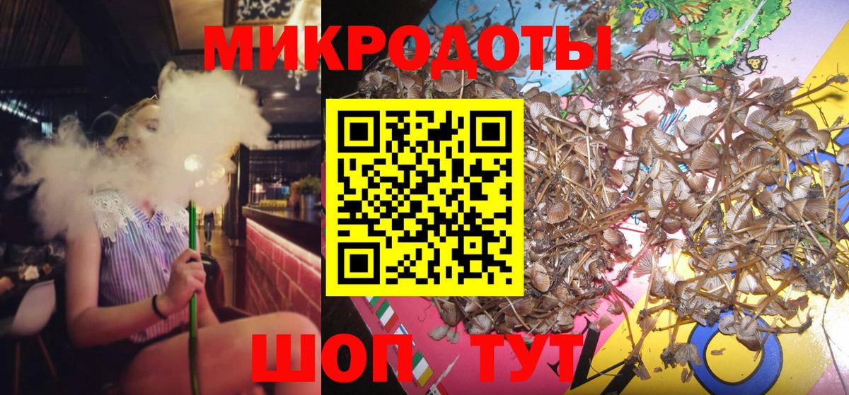 Галлюциногенные грибы Magic Shrooms Заводоуковск