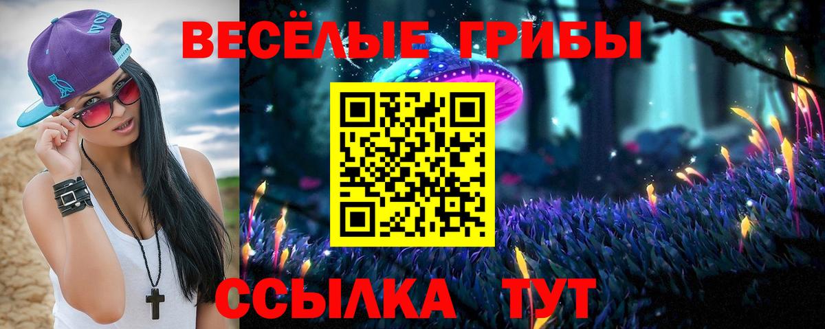Галлюциногенные грибы мухоморы  цены   Заводоуковск  Вход с VPN 