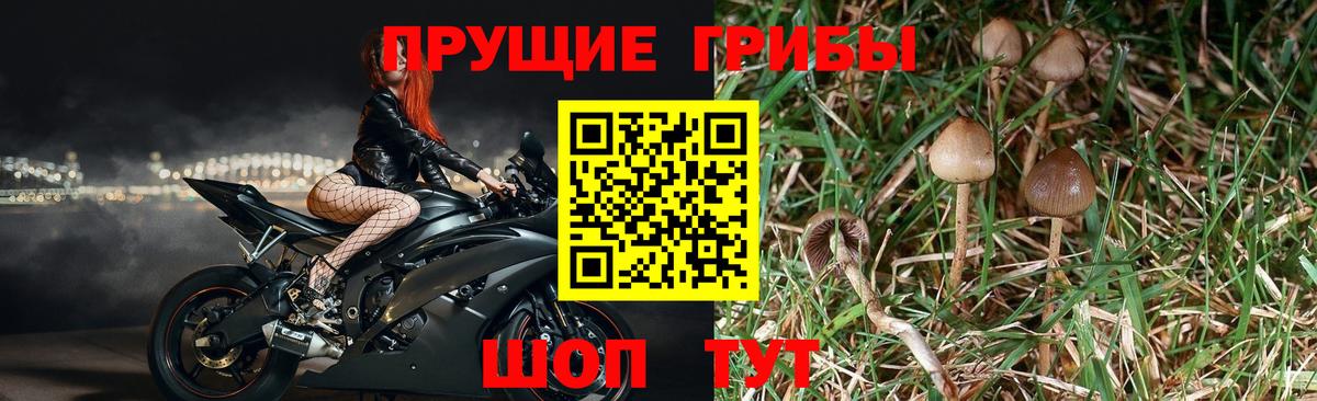 Как найти наркотики?  Мефедрон   Мефедрон  Заводоуковск  МАРИХУАНА  ГАШ  Кокаин  Вход с VPN  МАРИХУАНА 